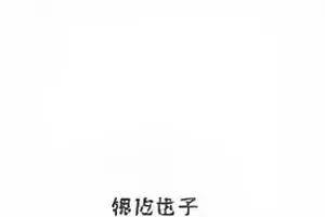旧书店的常客封面，靠窗木架上摊开的旧书与一杯凉掉的茶